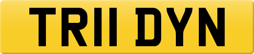TR11 DYN private number plate